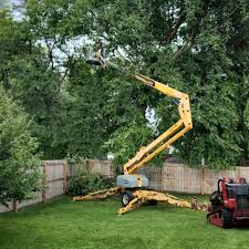 Best Arborist Consultation Services  in Chicopee, MA